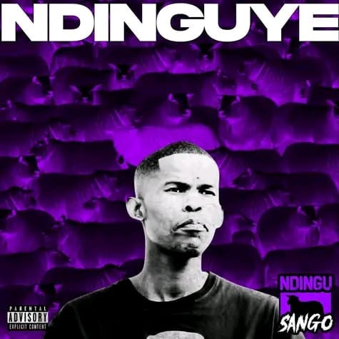 Ndingu Sango profile photo